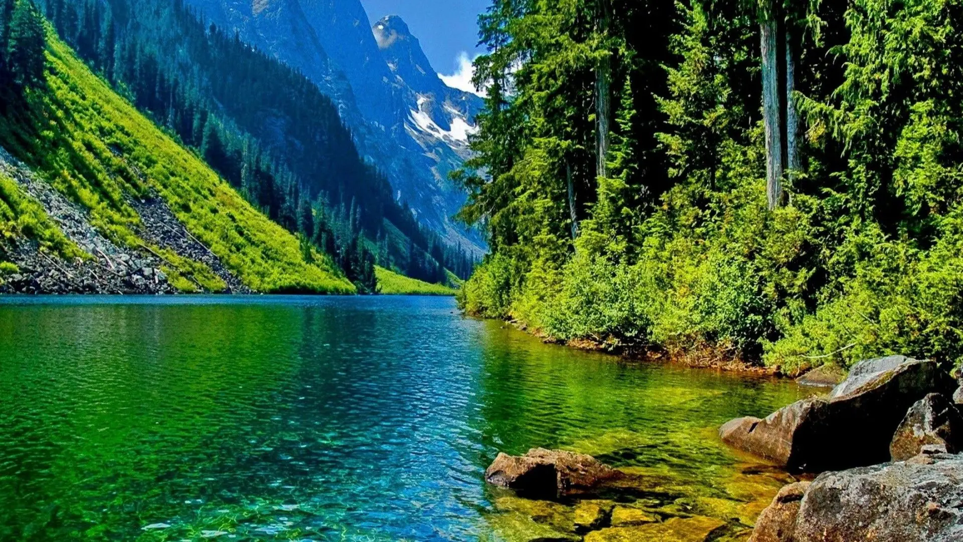 نمونه‌ای از کلاژ حرفه‌ای با تعادل بصری