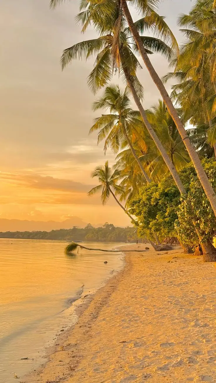 چیکار کنیم موضوعات تابستانی از قبل برنامه‌ریزی شوند؟