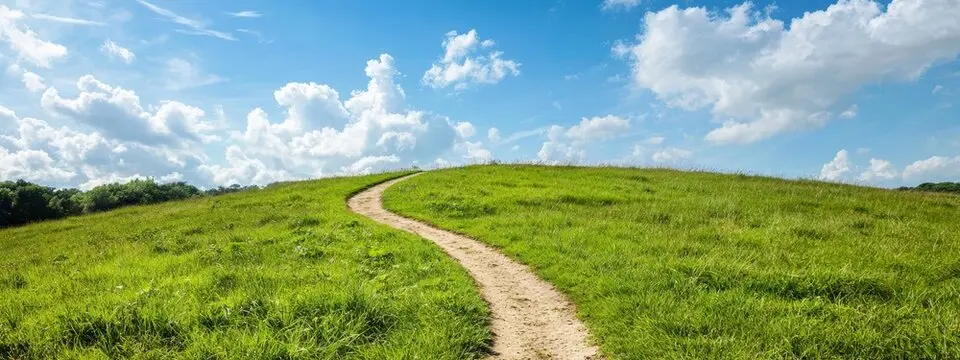 مسیری در میان طبیعت با درختان و نور طبیعی