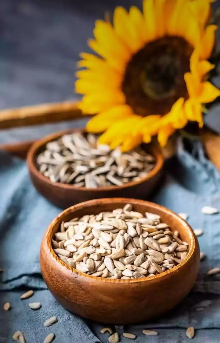 کیسههای پلاستیکی با زیپ برای نگهداری بذرها در شرایط مناسب