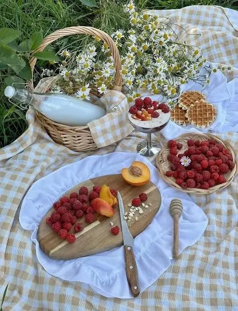 نکات مهم برای پیک نیک موفق و ایمن