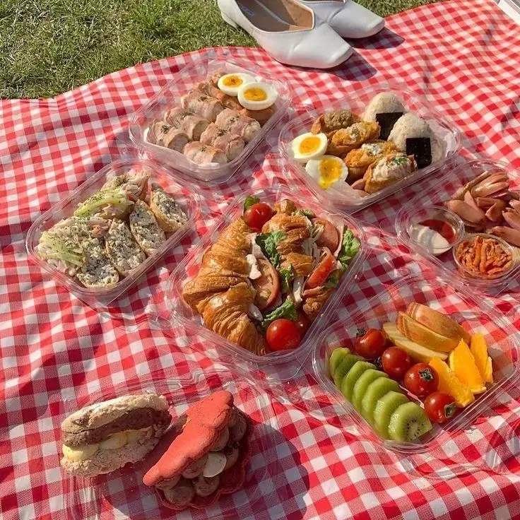 ساندویچ‌های بسته‌بندی شده برای پیک‌نیک