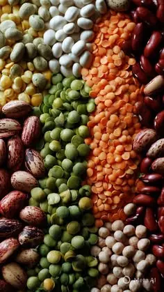 حبوبات خشک در ظرف شیشه‌ای با مواد جذب‌کننده رطوبت