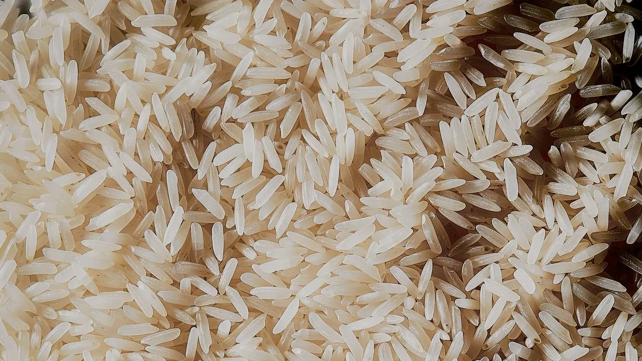 مهمانان در حال خوردن برنج در میز غذا