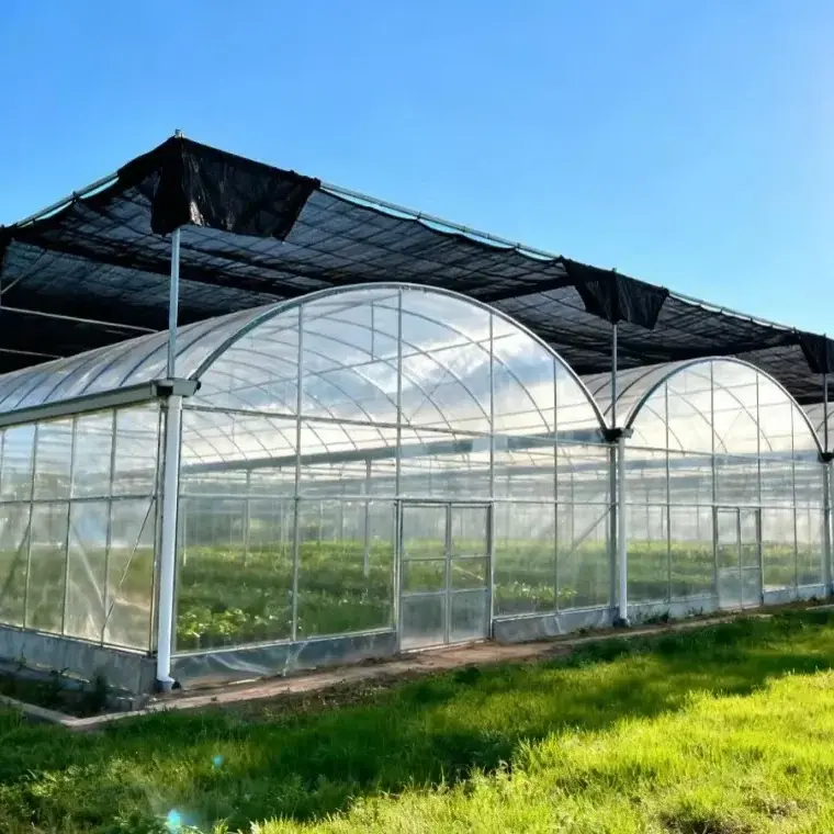گلخانه بزرگ چندپایه با طراحی مدرن برای جداسازی محصولات