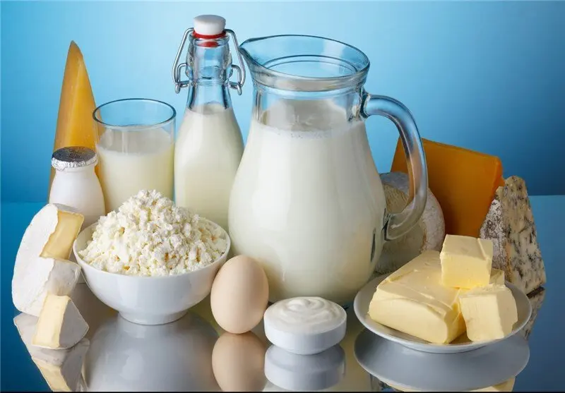 محصولات لبنی مختلف در یک انبار یا فروشگاه