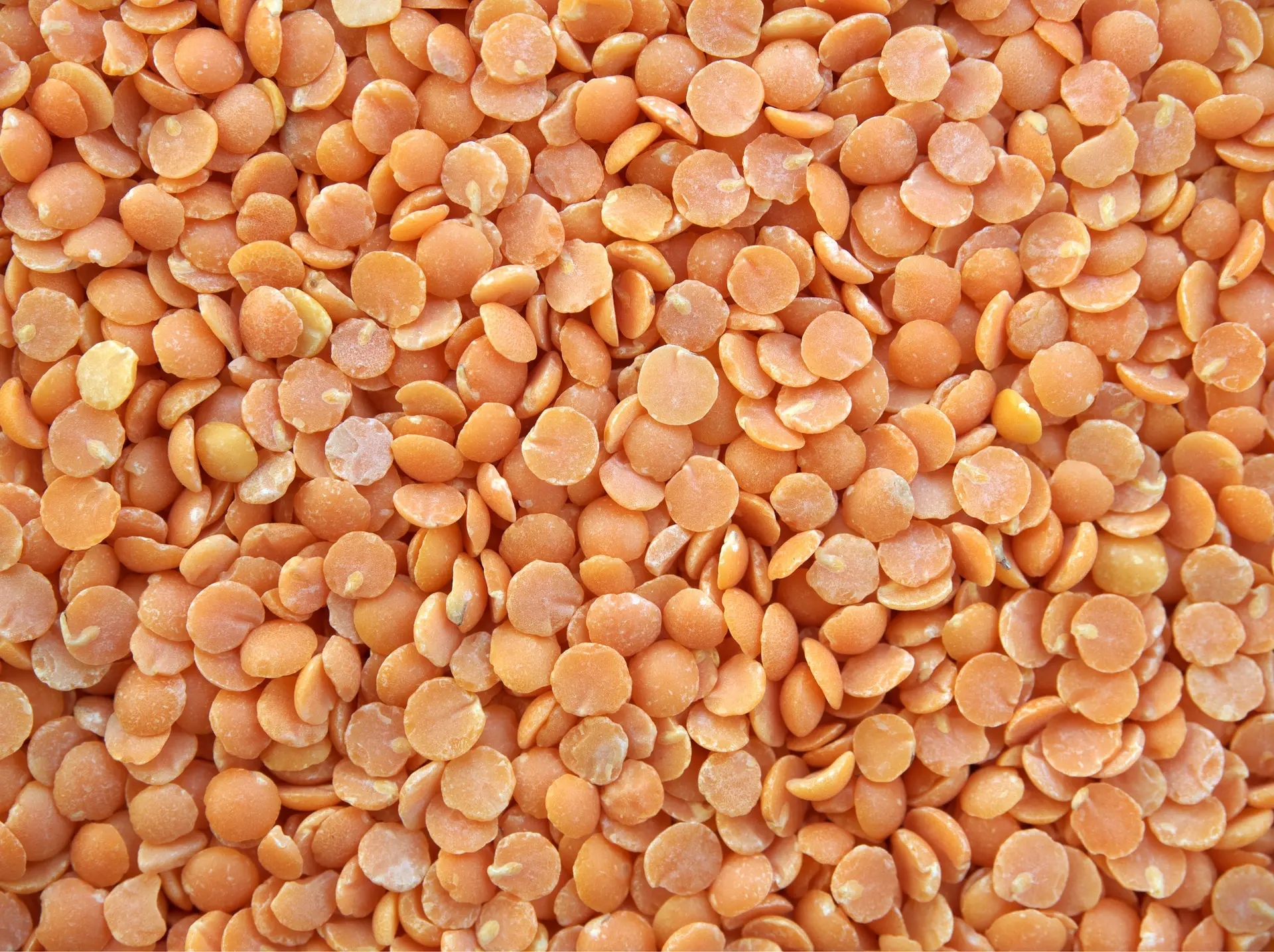 چیکار کنیم عدسی خوش‌طعم درست کنیم؟