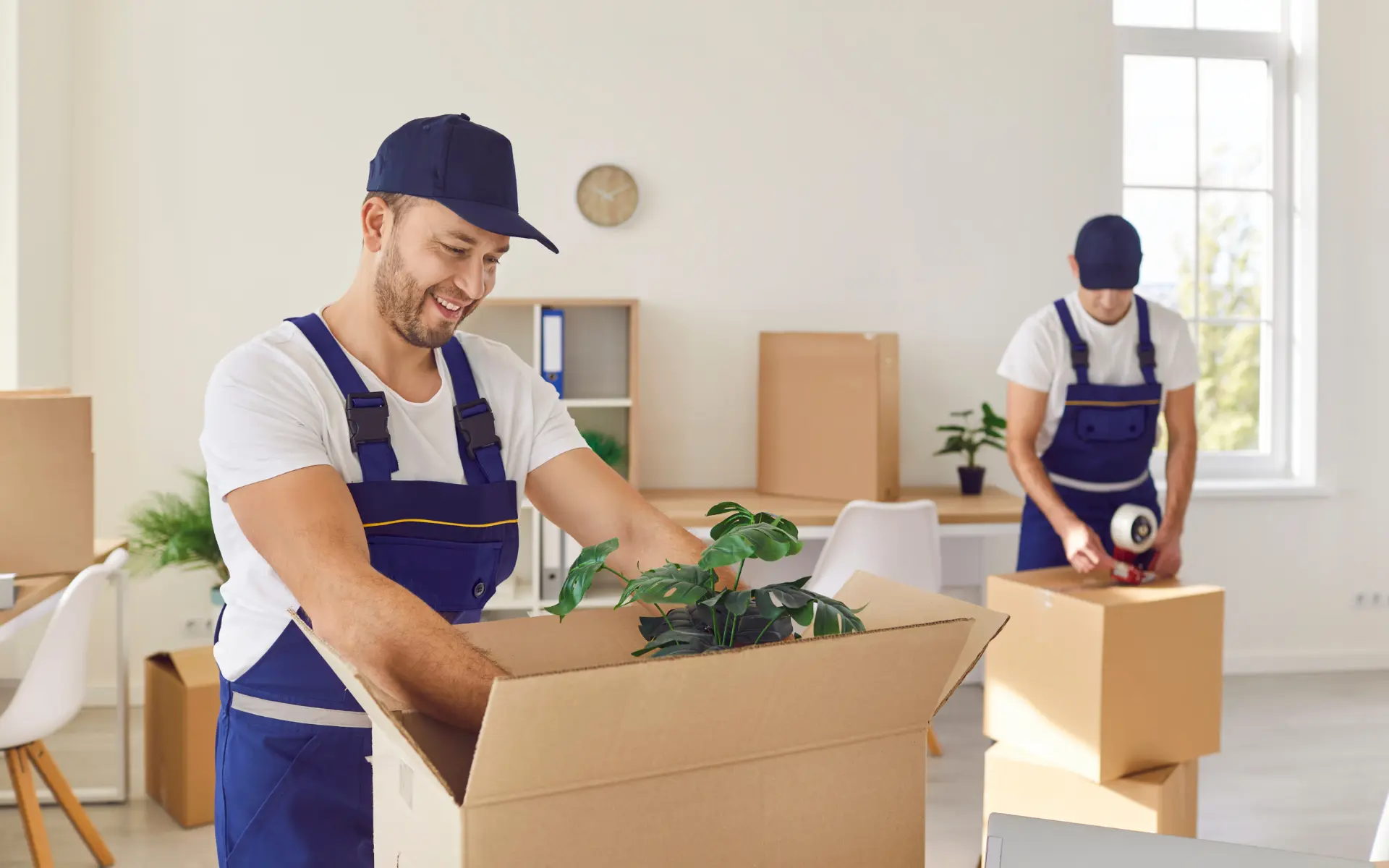 خدمات تمیزکاری با رویکرد نوین و محصولات طبیعی