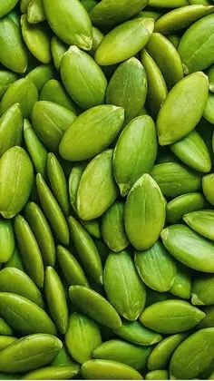 بذرهای مختلف در جعبه‌های دسته‌بندی شده برای نگهداری مناسب