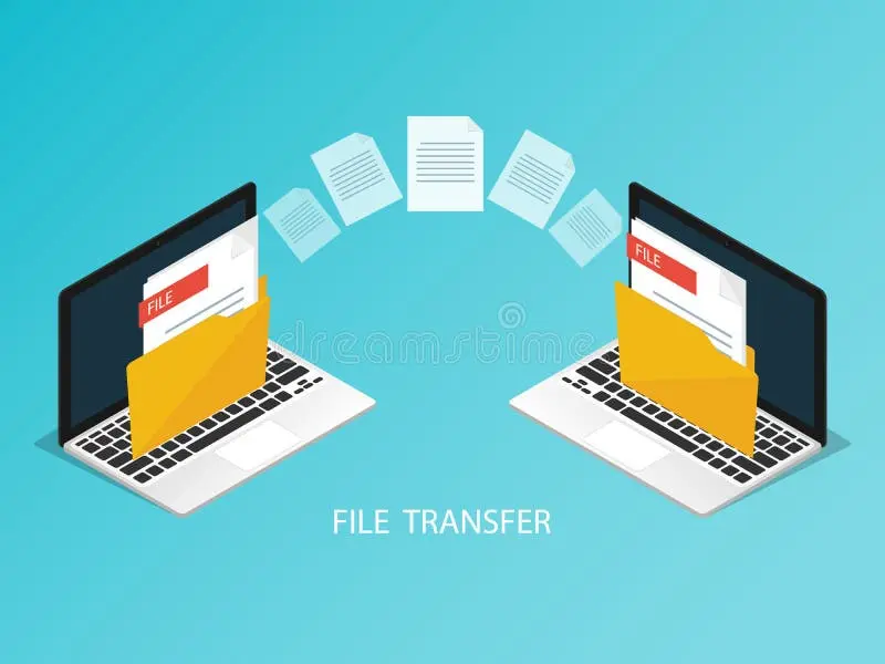چیکار کنیم فایل‌ها و دسترسی‌های لازم منتقل شوند؟