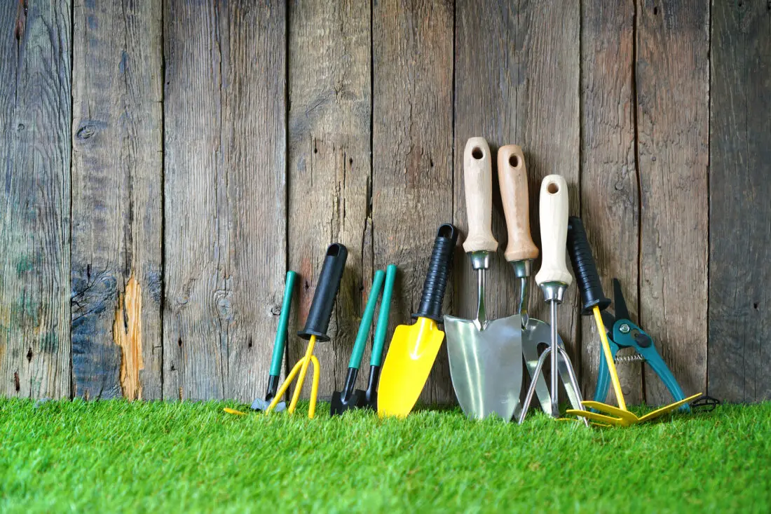 چیکار کنیم برای شروع باغبانی وسایل ضروری انتخاب کنیم؟