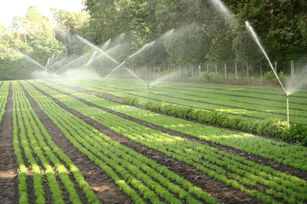 سیستم آبیاری قطره‌ای در باغچه
