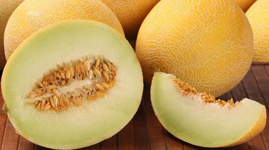 سطح یکنواخت و بدون ترک در خربزه
