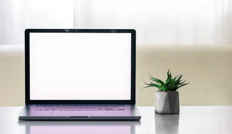 لپتاپی با صفحه نمایش تمیز و روشن در کنار گلدان