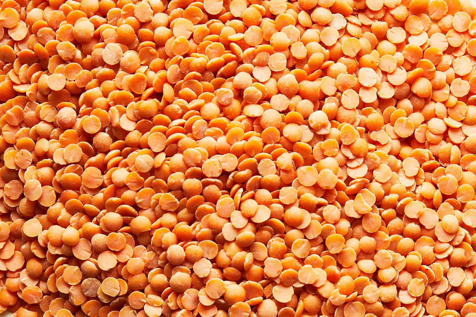 عدسی پخته شده در ظرف چینی با سبزیجات و ادویه