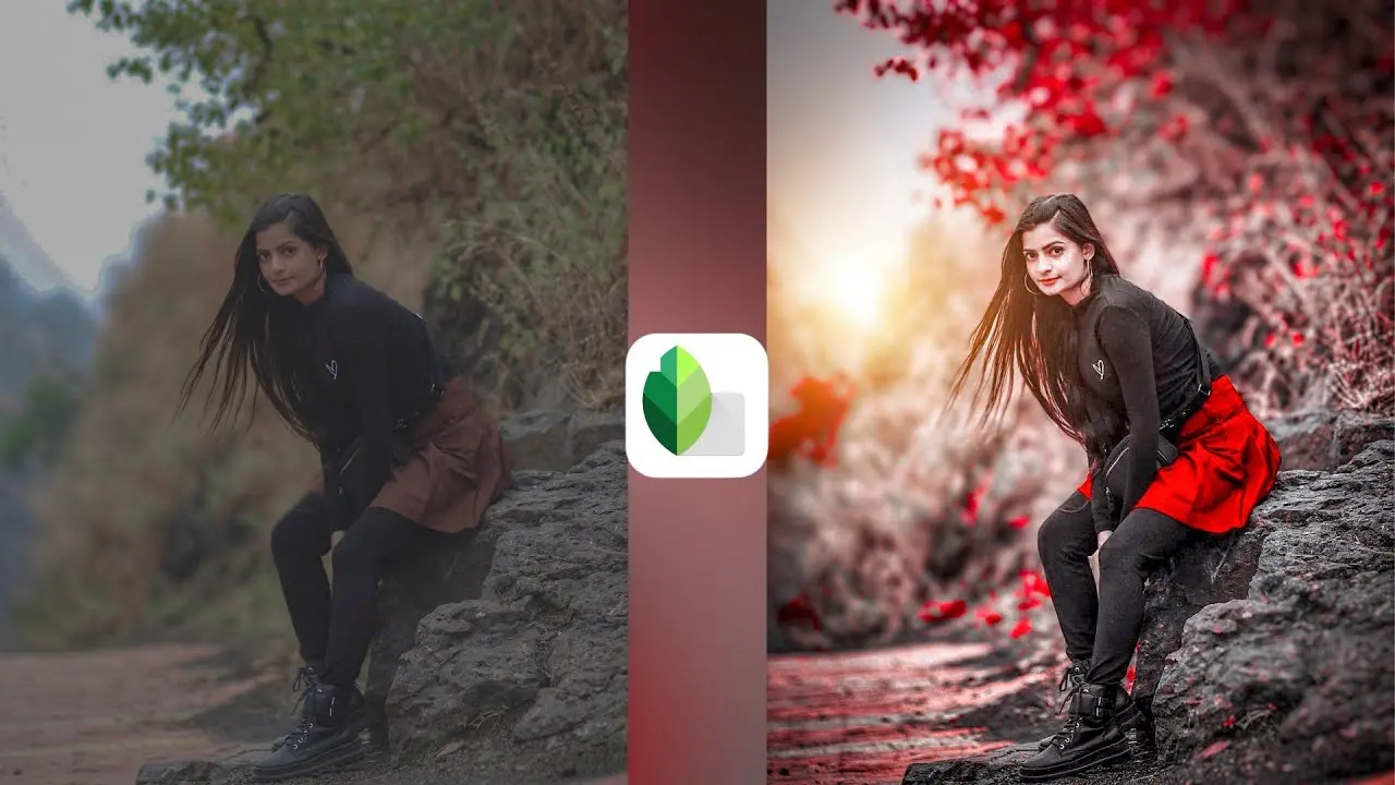 نمونه‌ای از ابزار برش در یک برنامه ویرایش عکس