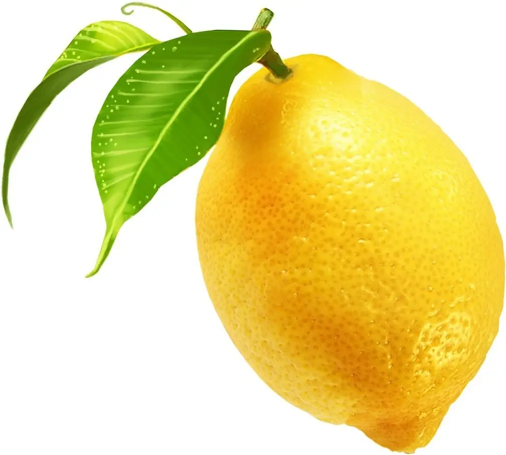 دو نمونه لیمو شیرین و لیمو ترش برای مقایسه ویژگی‌های ظاهری آن‌ها
