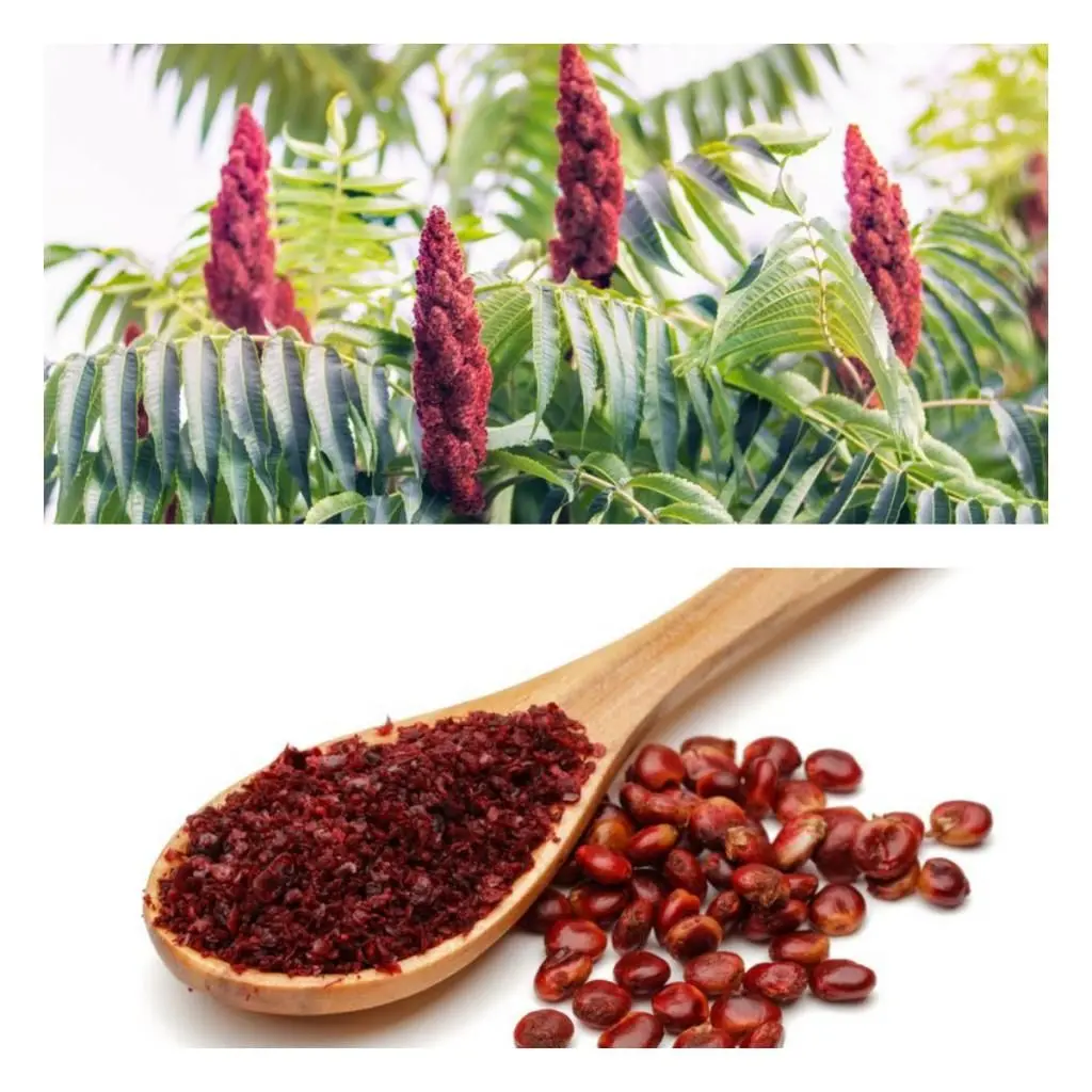 بهترین سماق؛ گزینه‌های مناسب را چطور انتخاب کنیم؟