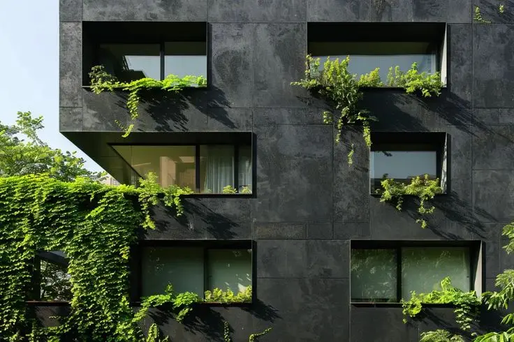 معماری بیوفیلیک چیست و چگونه طبیعت را وارد فضای زندگی می‌کند؛ راهنمای ساده برای شروع