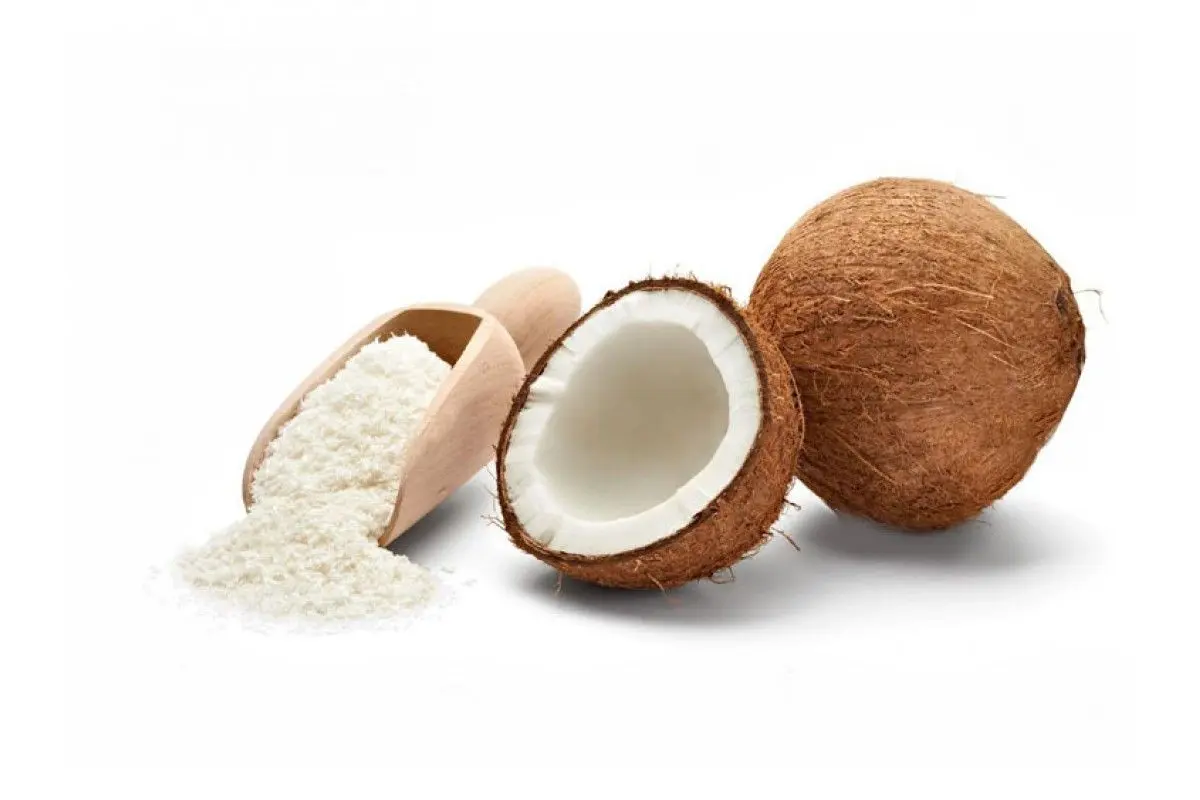 روغن نارگیل در بطری شیشه‌ای و در کنار نارگیل تازه