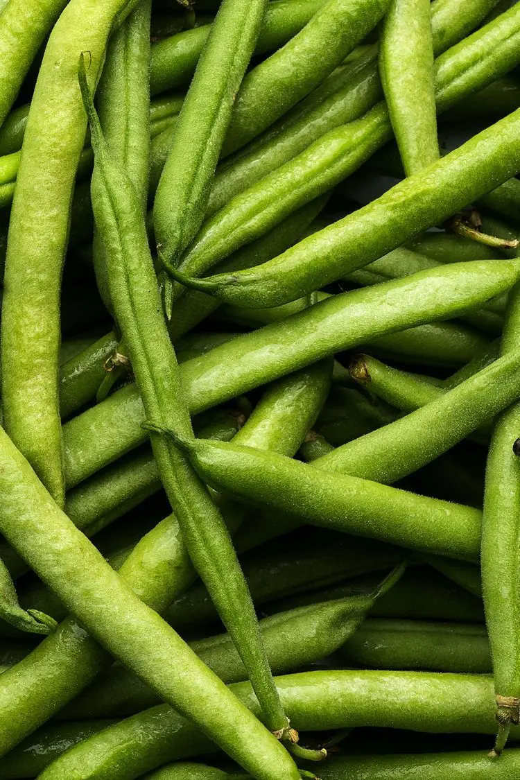 گندم خشک شده برای آش سنتی