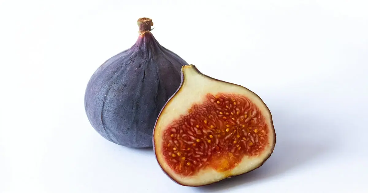 کدام انبه انتخاب بهتری است؟ بررسی کامل و ساده