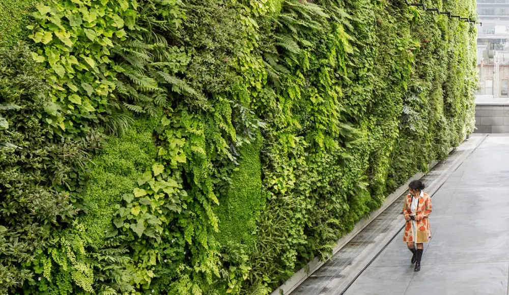 دیوار سبز چیست و چه مزایایی برای ساختمان و فضای داخلی دارد؛ نکات کاربردی و اشتباهات رایج