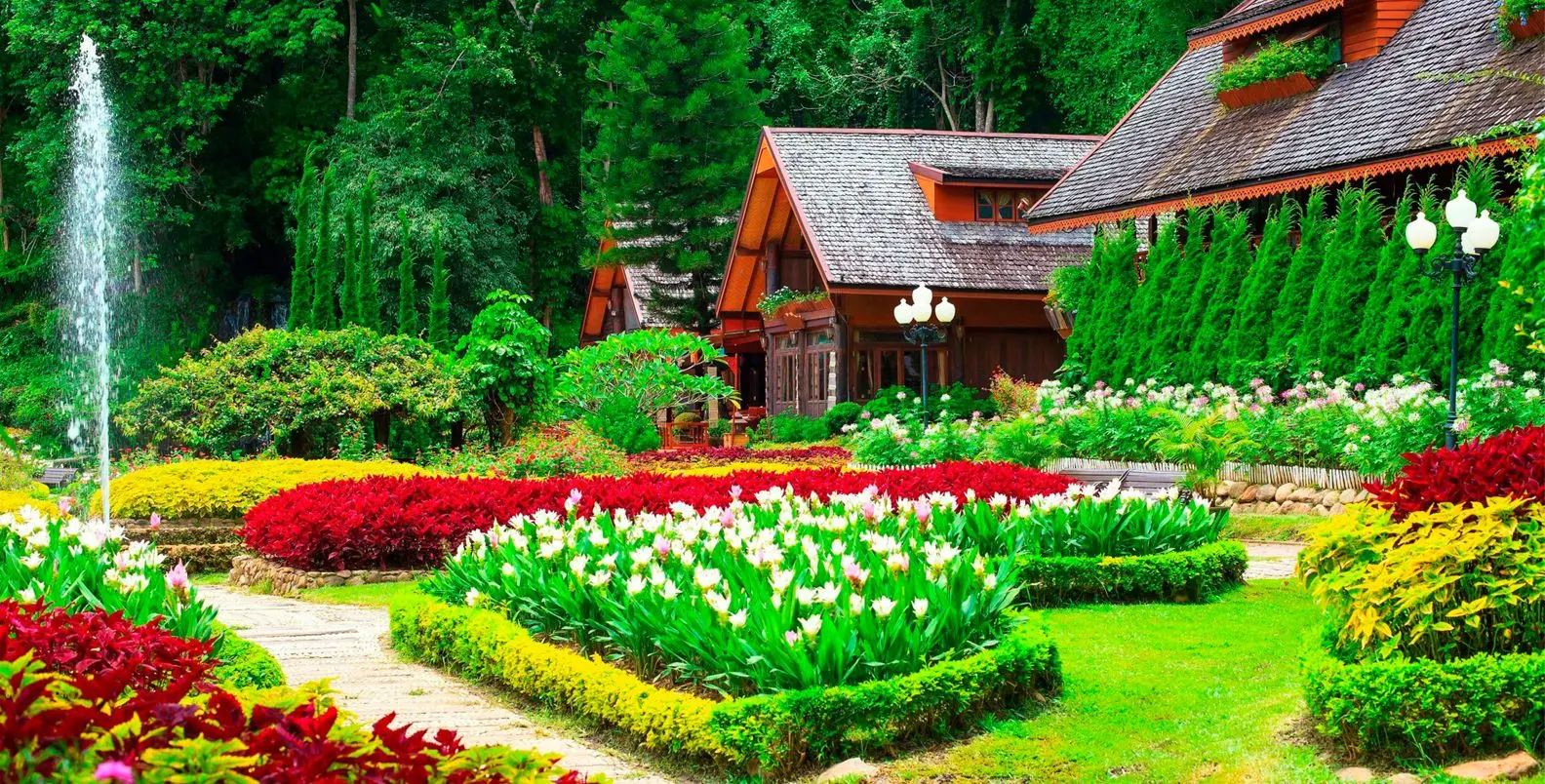 حیاط کوچک با گیاهان متنوع و نورپردازی زیبا