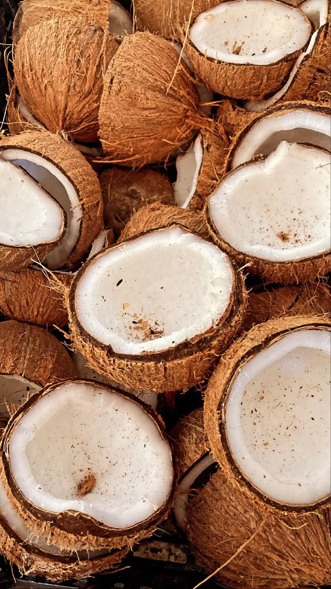 نارگیل تازه با پوست بیرونی سبز و گوشت سفید