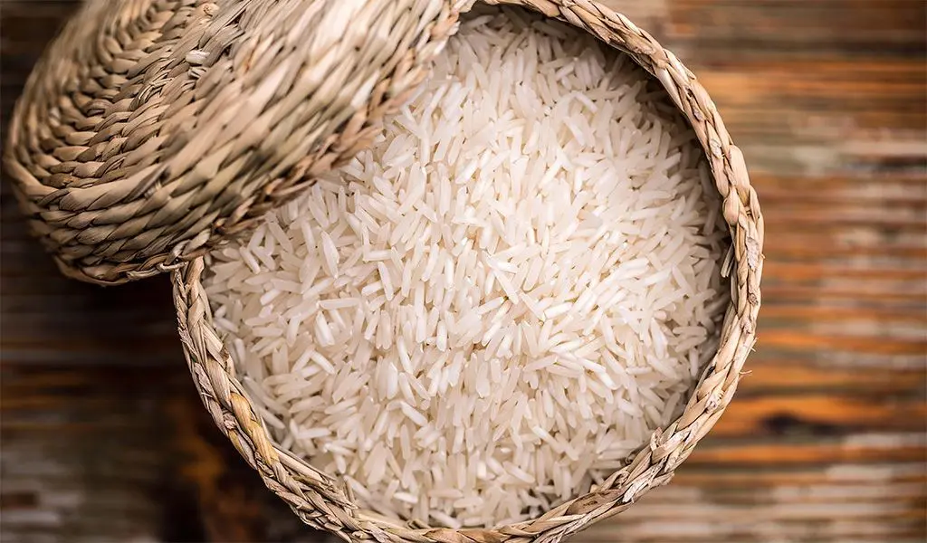 بهترین برنج باسماتی؛ نکات خرید و انتخاب هوشمندانه