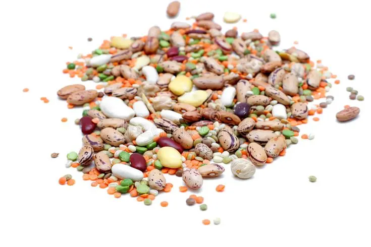 حبوبات مخلوط در ظرف چوبی برای پخت