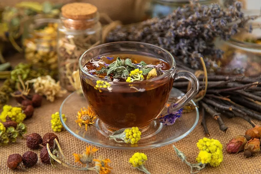 بهترین دمنوش برای شب؛ گزینه‌های مناسب را چطور انتخاب کنیم؟