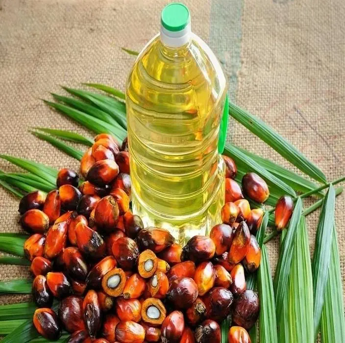 کدام روغن حیوانی انتخاب بهتری است؟ بررسی کامل و ساده
