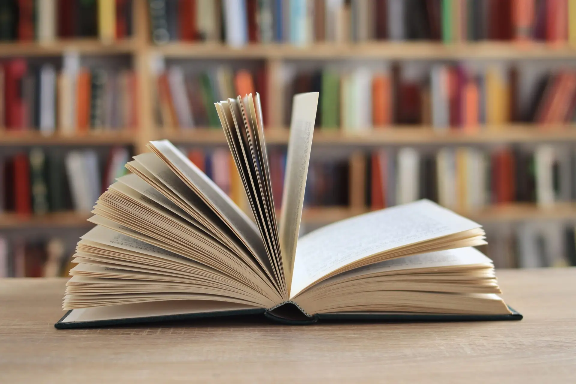 کتابخوان چوبی با طراحی مدرن و کتاب‌های سازمان‌یافته