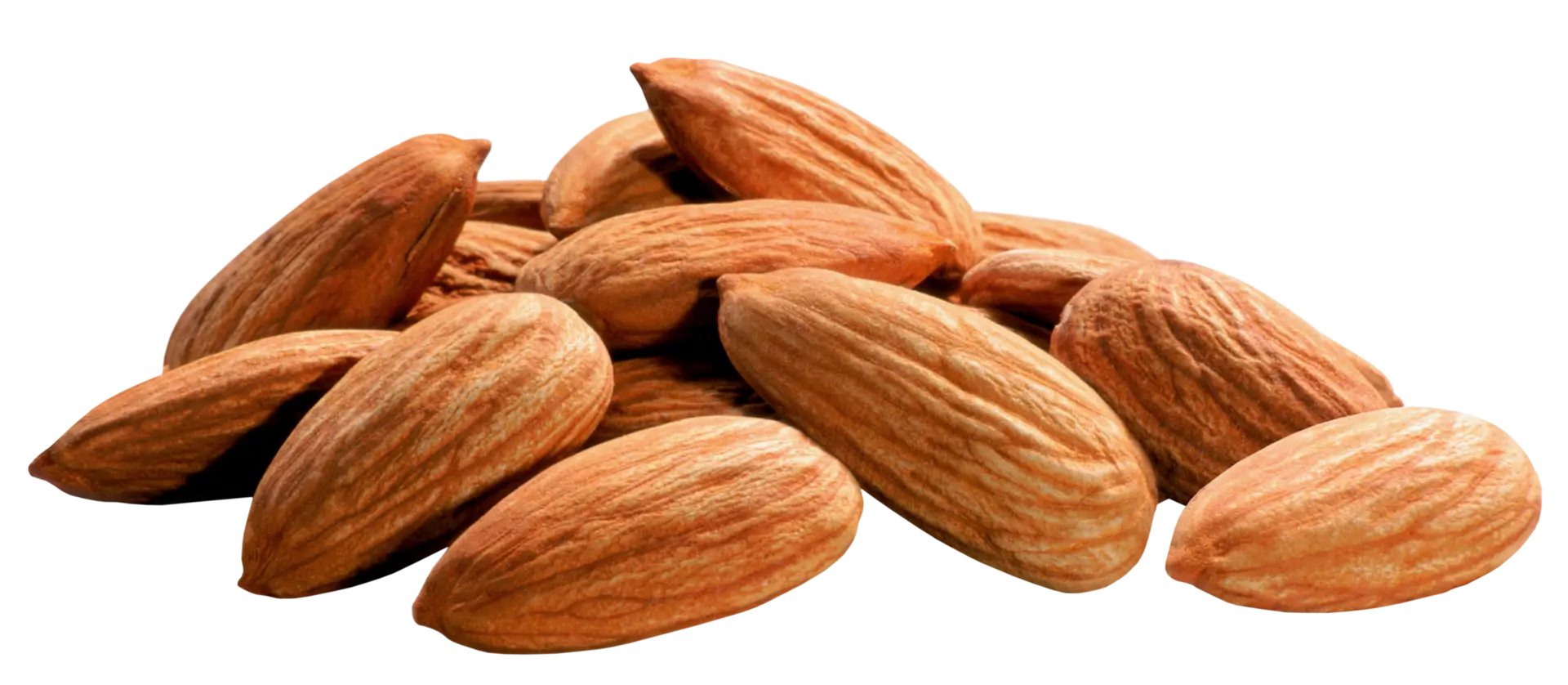 منظره طبیعی و آرامشبخش در نزدیکی هتلهای کوهستانی