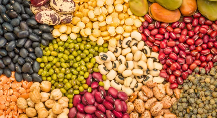 چندین نوع حبوبات خشک در ظرف شیشه‌ای