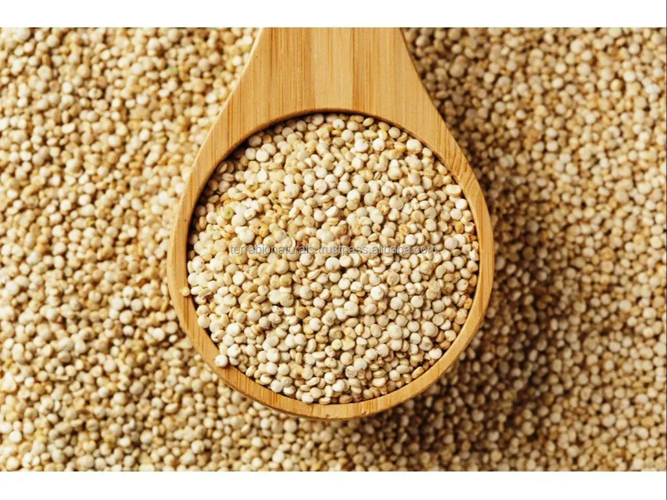 کینوا سفید و سیاه در ظرف شیشه‌ای