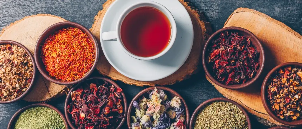 بهترین دمنوش برای شب؛ گزینه‌های مناسب را چطور انتخاب کنیم؟