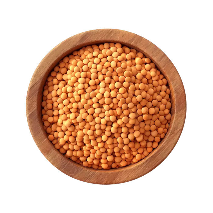 کاسه چوبی پر از لپه خشک شده