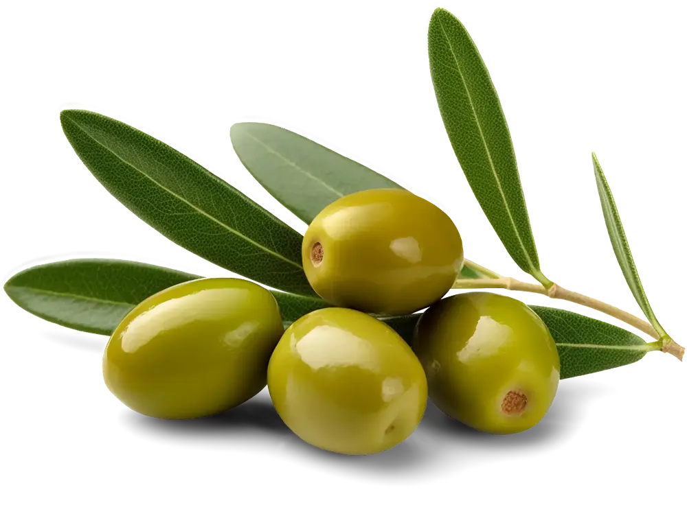 زیتونهای پرورده در ظرف شیشهای با روغن
