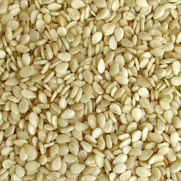 مقایسه گزینه‌های کنجد؛ چطور بهترین انتخاب را داشته باشیم؟