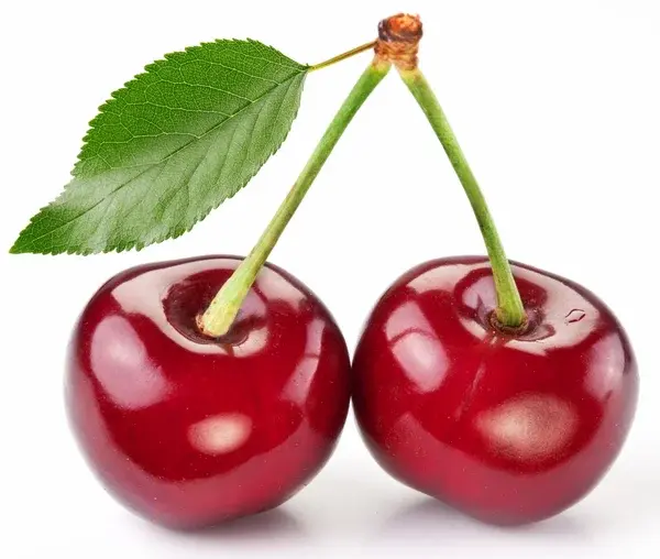 دو عدد آلبالو شیرین و کامل با سطح صاف و بدون خراش