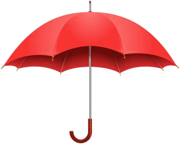 بهترین بارانی؛ نکات خرید و انتخاب هوشمندانه