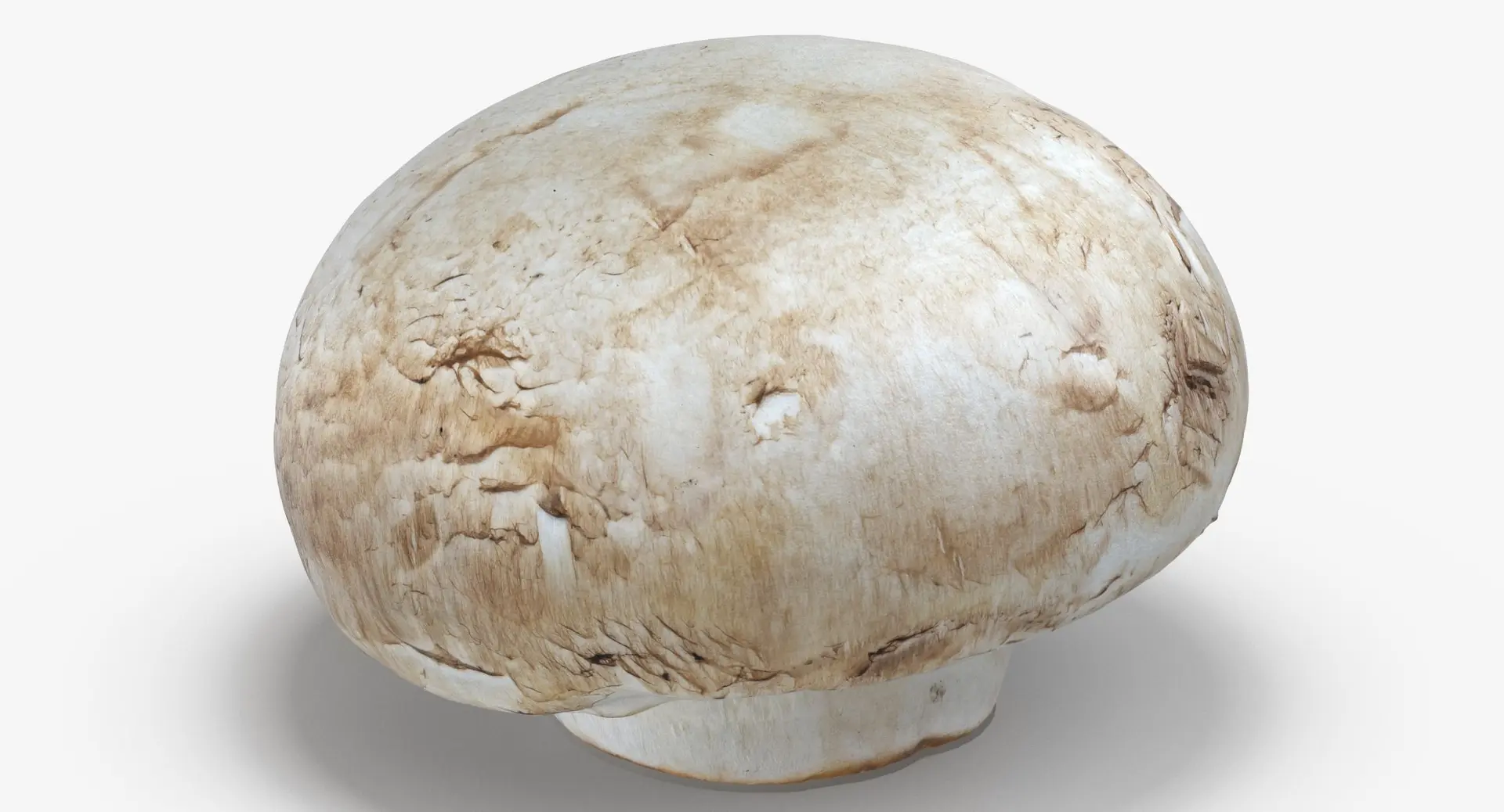 قارچ دکمه‌ای تازه در کاسه چوبی