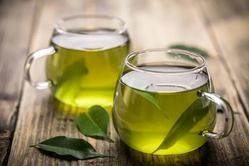 راهنمای انتخاب چای سبز؛ نکات مهمی که باید بدانید
