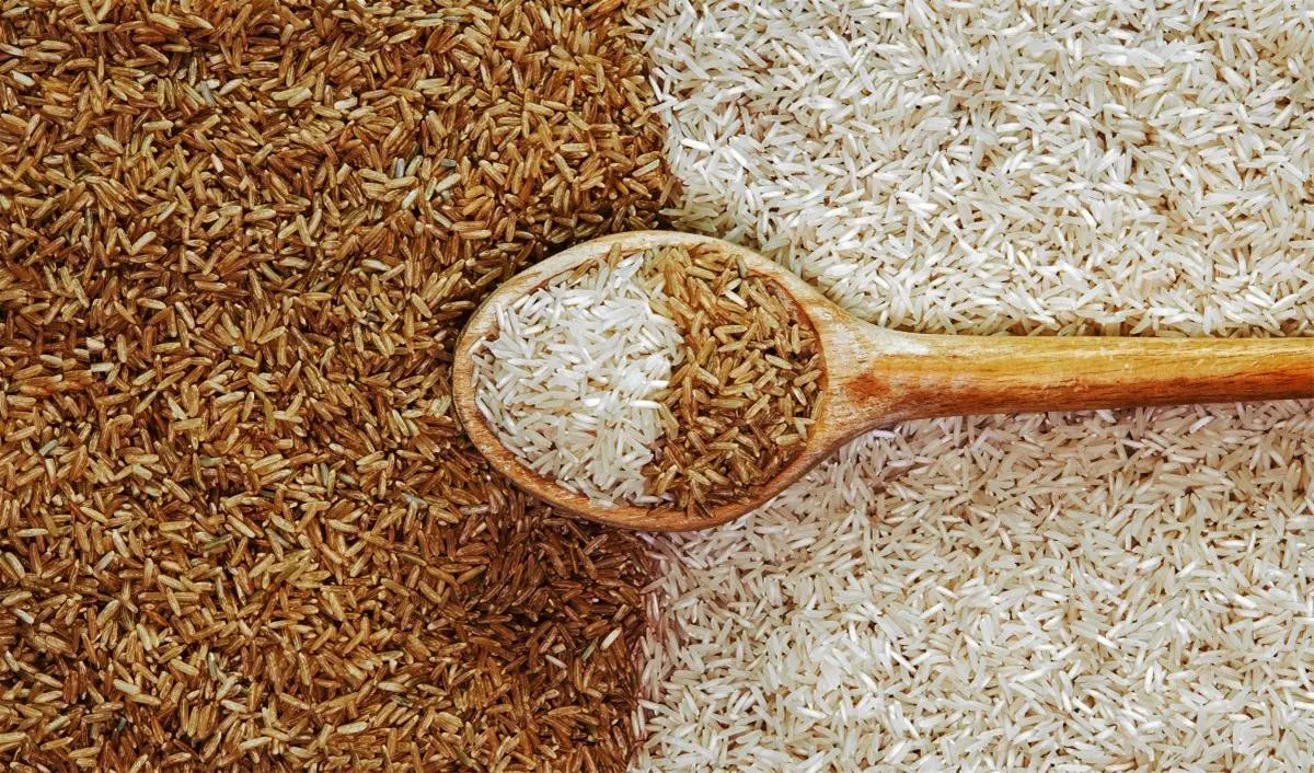 برنج هاشمی و سیاوش در ظرف‌های جداگانه