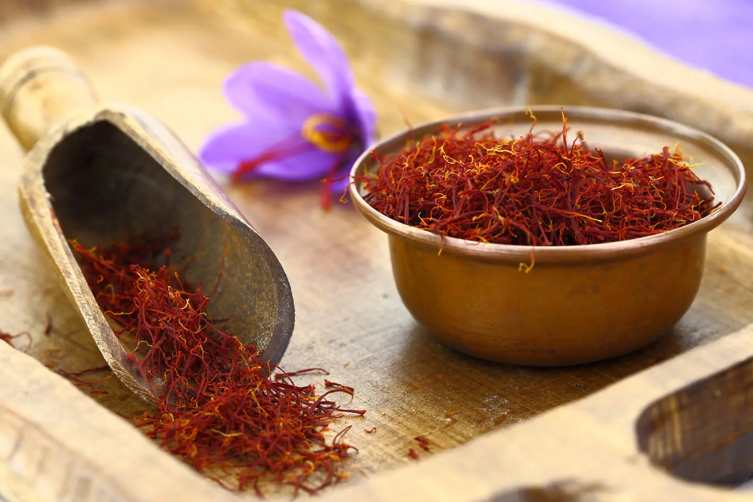 کدام زعفران نگین انتخاب بهتری است؟ بررسی کامل و ساده
