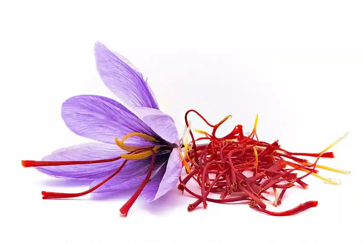 انتخاب زعفران برای هدیه؛ مزایا، نکات و اشتباهات رایج