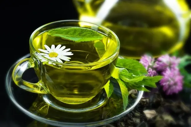 بهترین چای سبز؛ راهنمای کامل و کاربردی